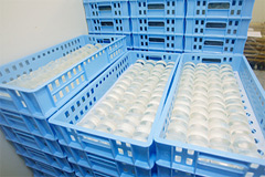 乾燥中の枠練り石鹸